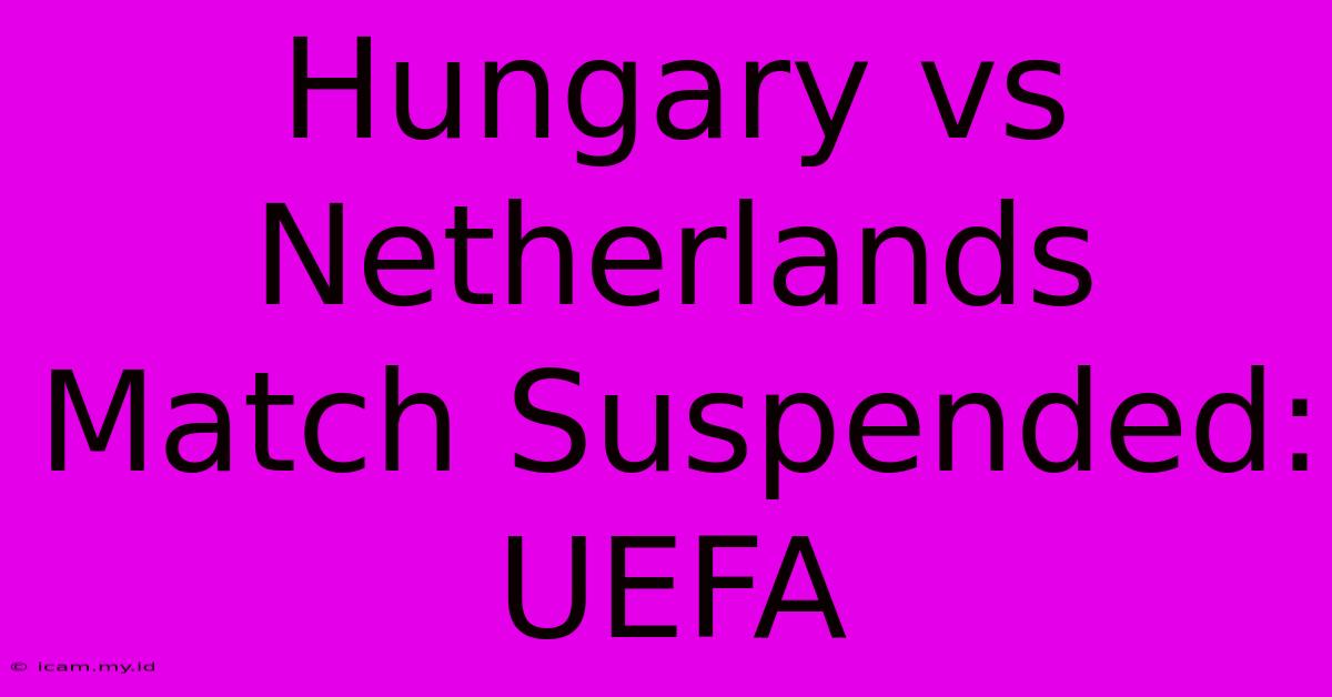 Hungary Vs Netherlands Match Suspended: UEFA