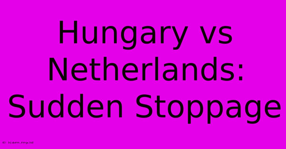 Hungary Vs Netherlands: Sudden Stoppage