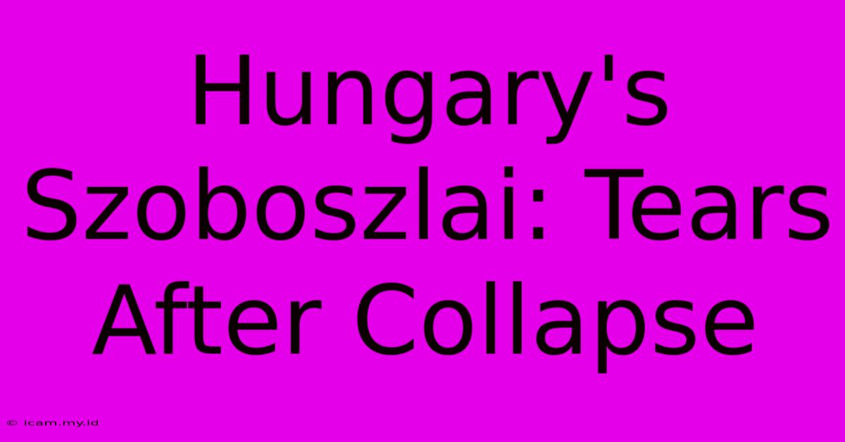 Hungary's Szoboszlai: Tears After Collapse