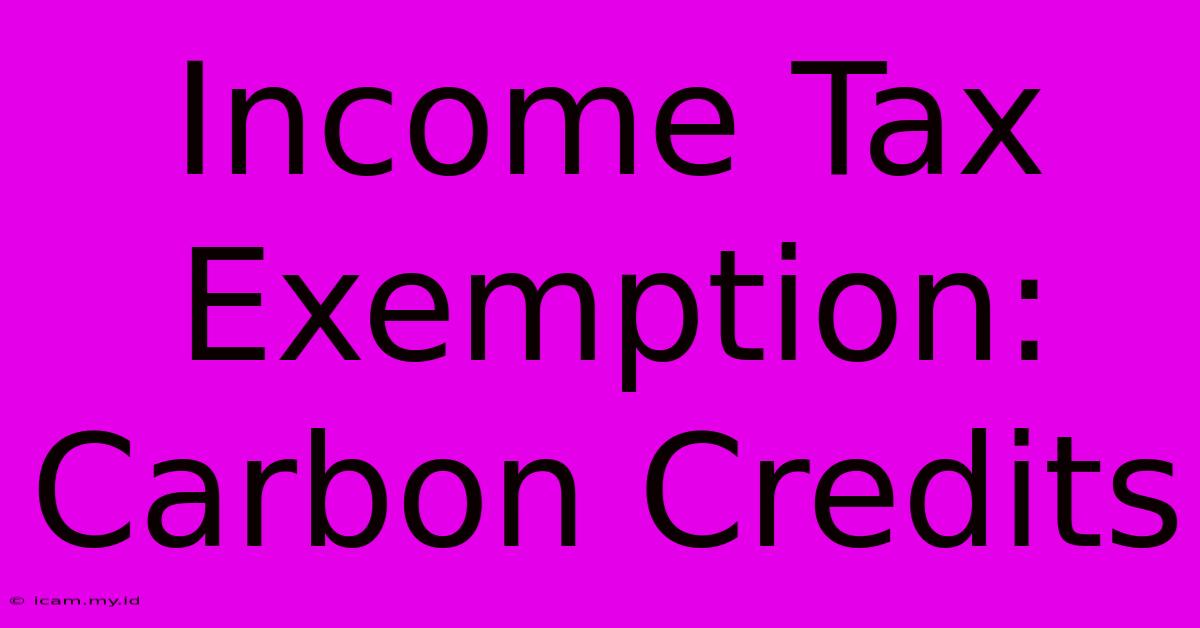 Income Tax Exemption: Carbon Credits