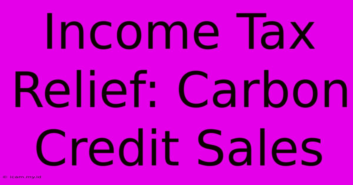 Income Tax Relief: Carbon Credit Sales