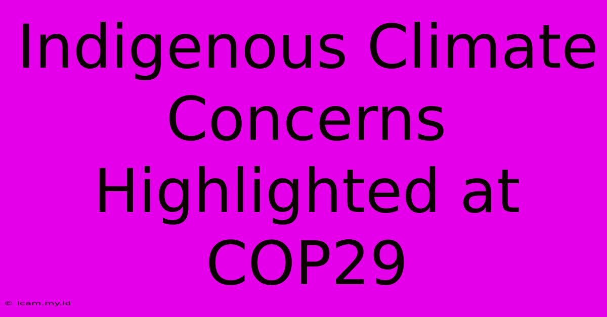 Indigenous Climate Concerns Highlighted At COP29