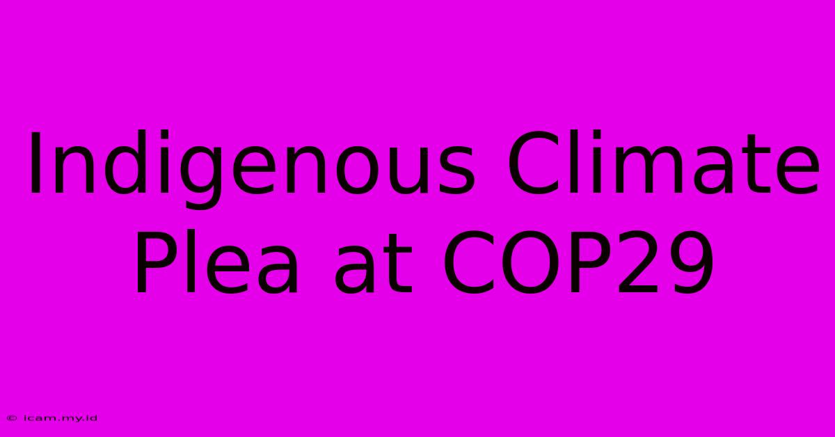 Indigenous Climate Plea At COP29