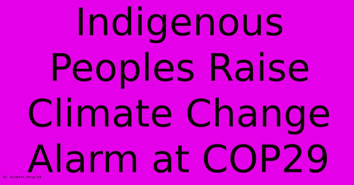 Indigenous Peoples Raise Climate Change Alarm At COP29