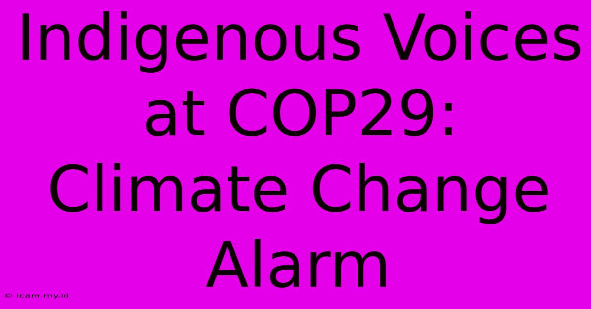 Indigenous Voices At COP29: Climate Change Alarm