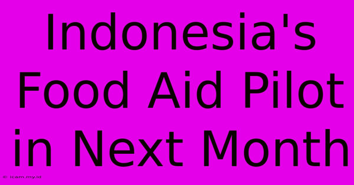 Indonesia's Food Aid Pilot In Next Month