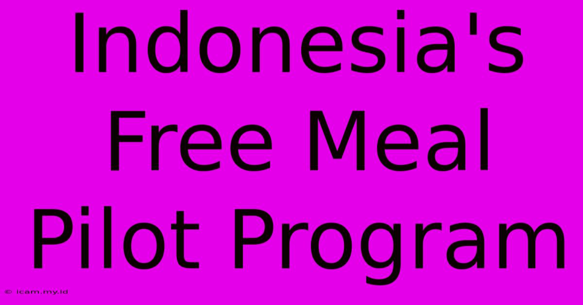 Indonesia's Free Meal Pilot Program