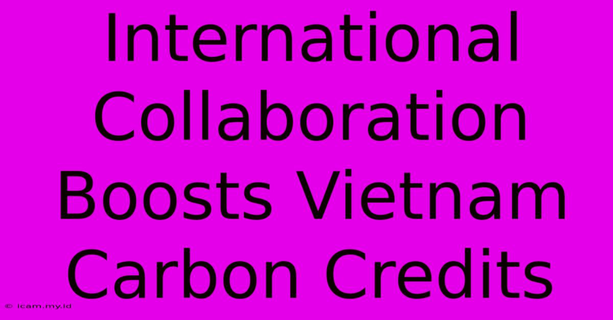 International Collaboration Boosts Vietnam Carbon Credits