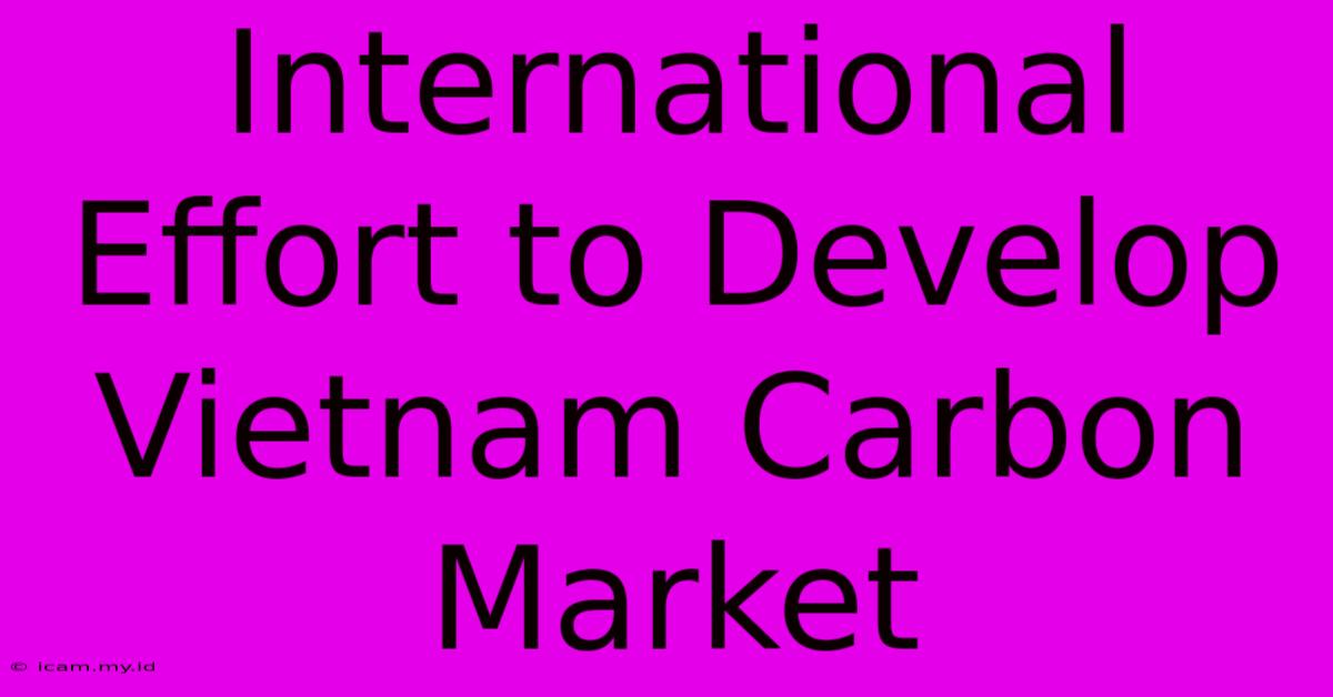 International Effort To Develop Vietnam Carbon Market