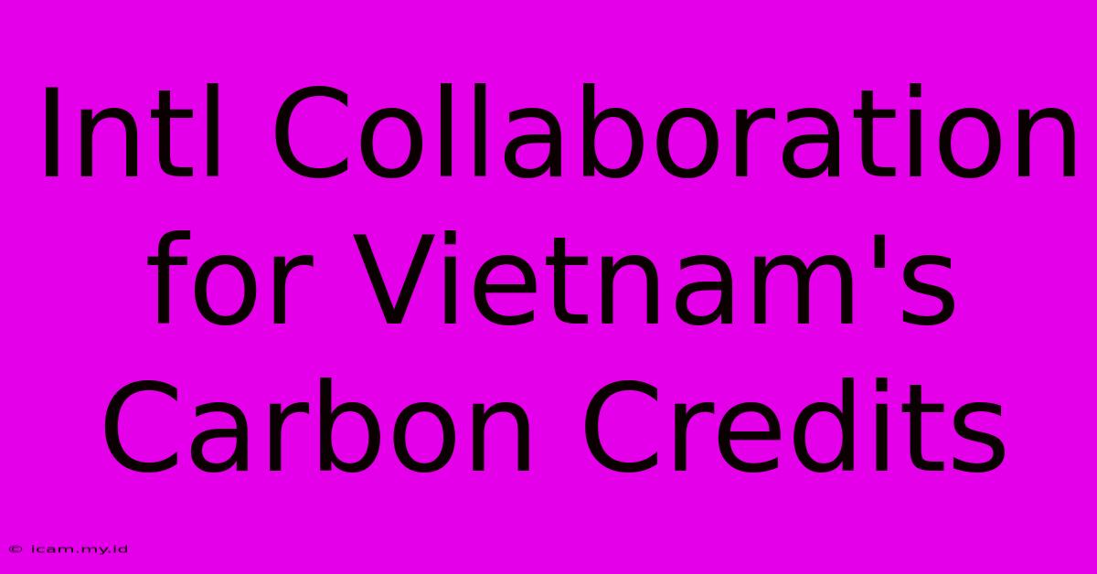 Intl Collaboration For Vietnam's Carbon Credits