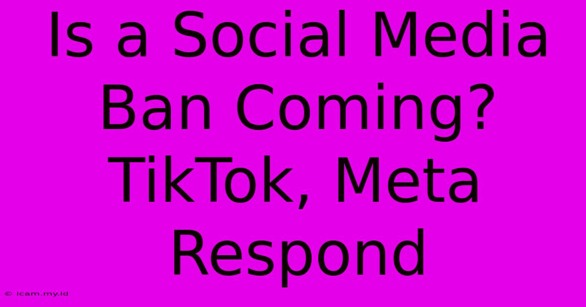 Is A Social Media Ban Coming? TikTok, Meta Respond