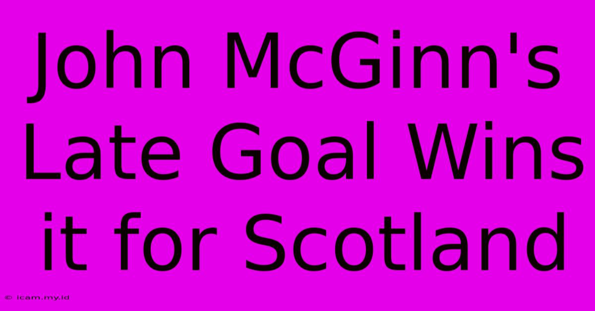 John McGinn's Late Goal Wins It For Scotland