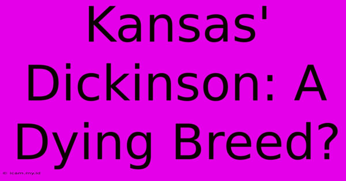 Kansas' Dickinson: A Dying Breed?