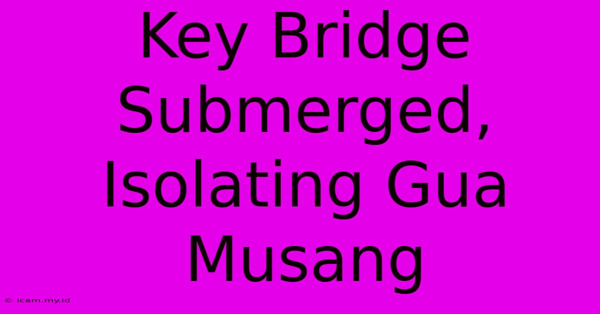 Key Bridge Submerged, Isolating Gua Musang