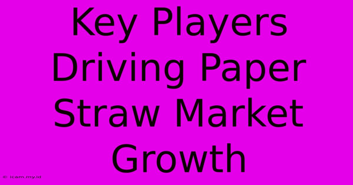 Key Players Driving Paper Straw Market Growth