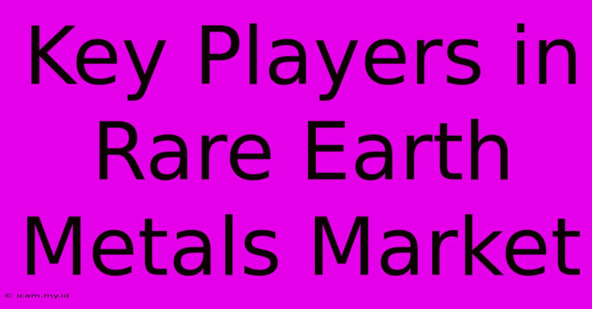 Key Players In Rare Earth Metals Market