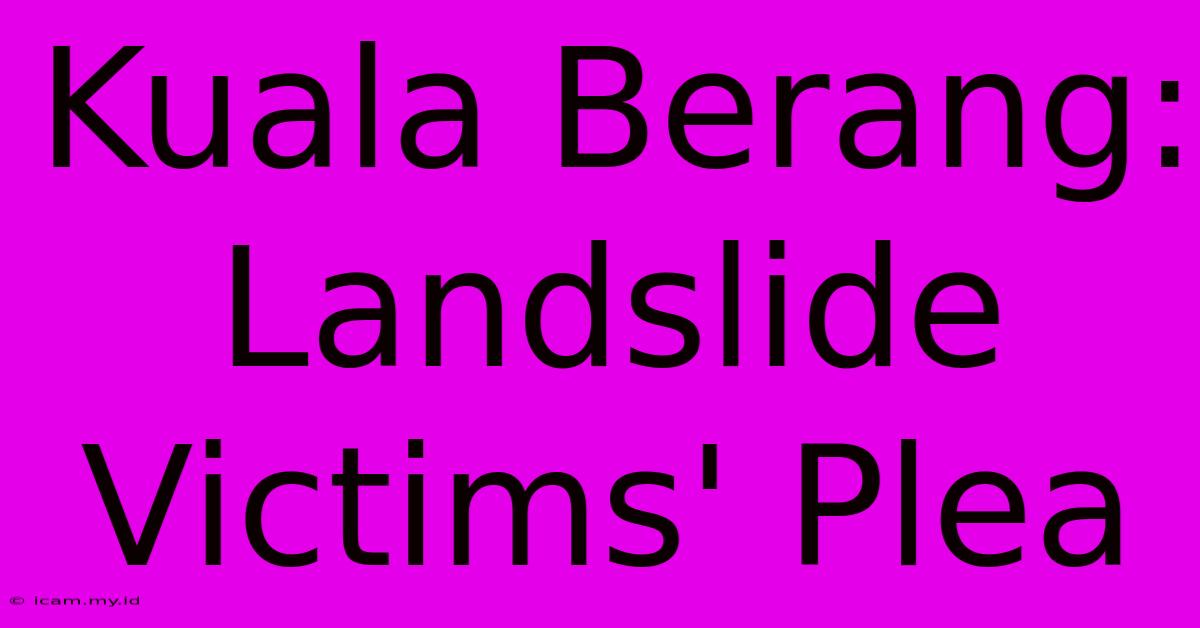 Kuala Berang:  Landslide Victims' Plea