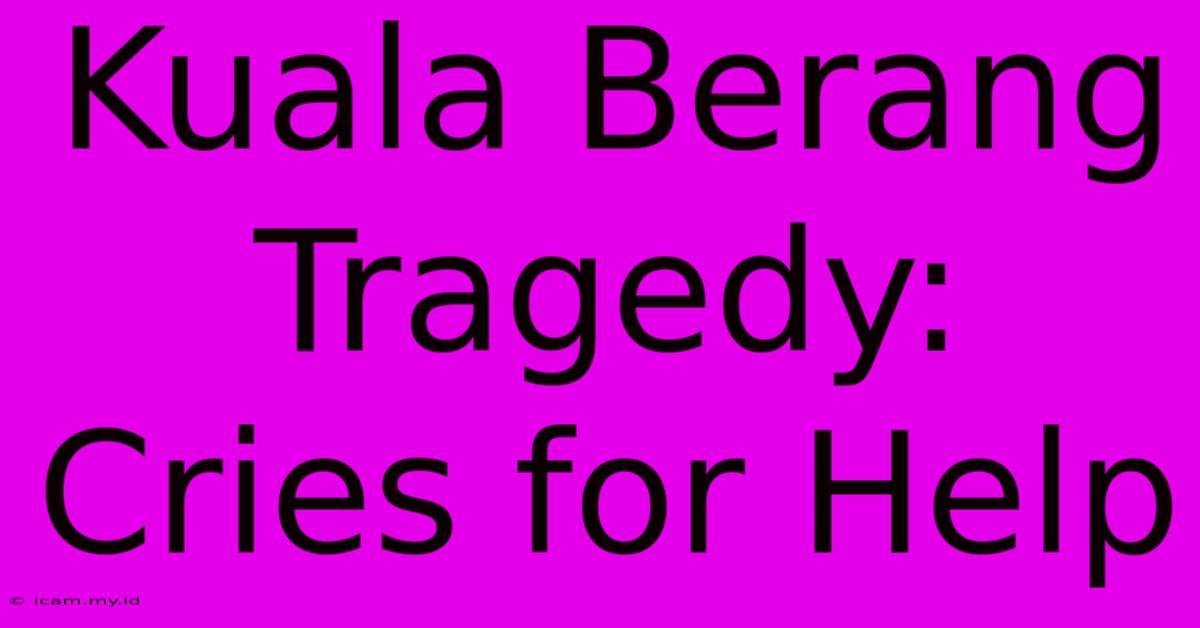 Kuala Berang Tragedy:  Cries For Help