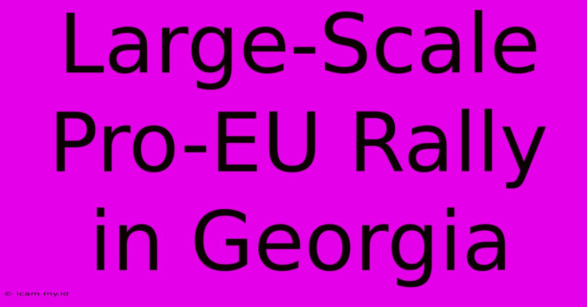 Large-Scale Pro-EU Rally In Georgia
