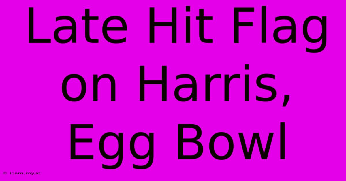 Late Hit Flag On Harris, Egg Bowl