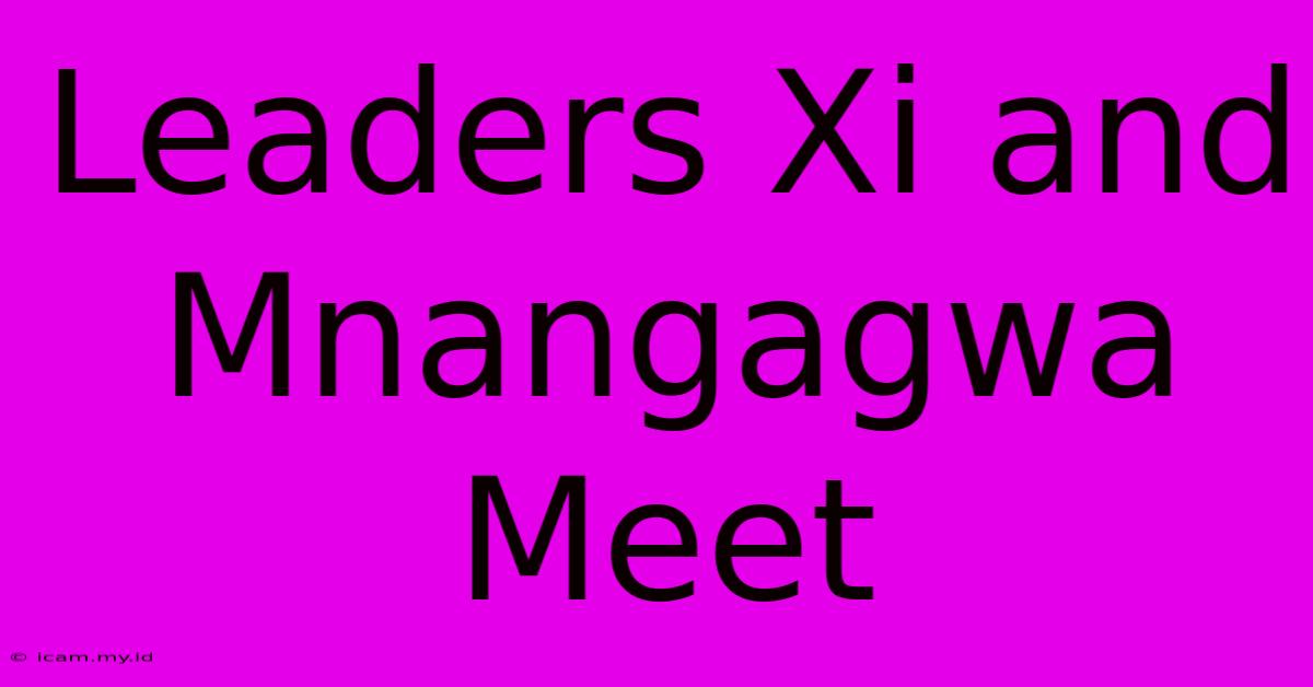 Leaders Xi And Mnangagwa Meet