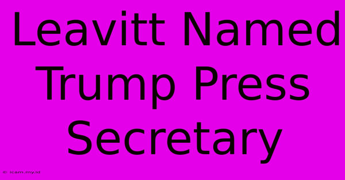 Leavitt Named Trump Press Secretary