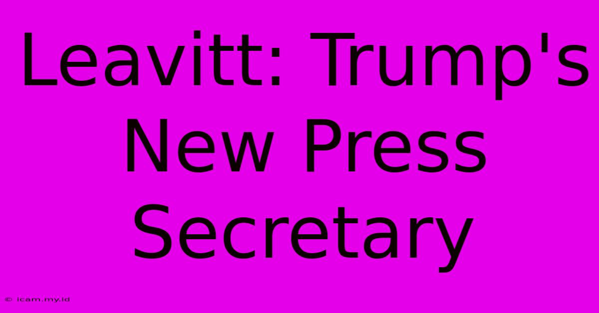 Leavitt: Trump's New Press Secretary Leavitt: Trump's New Press Secretary