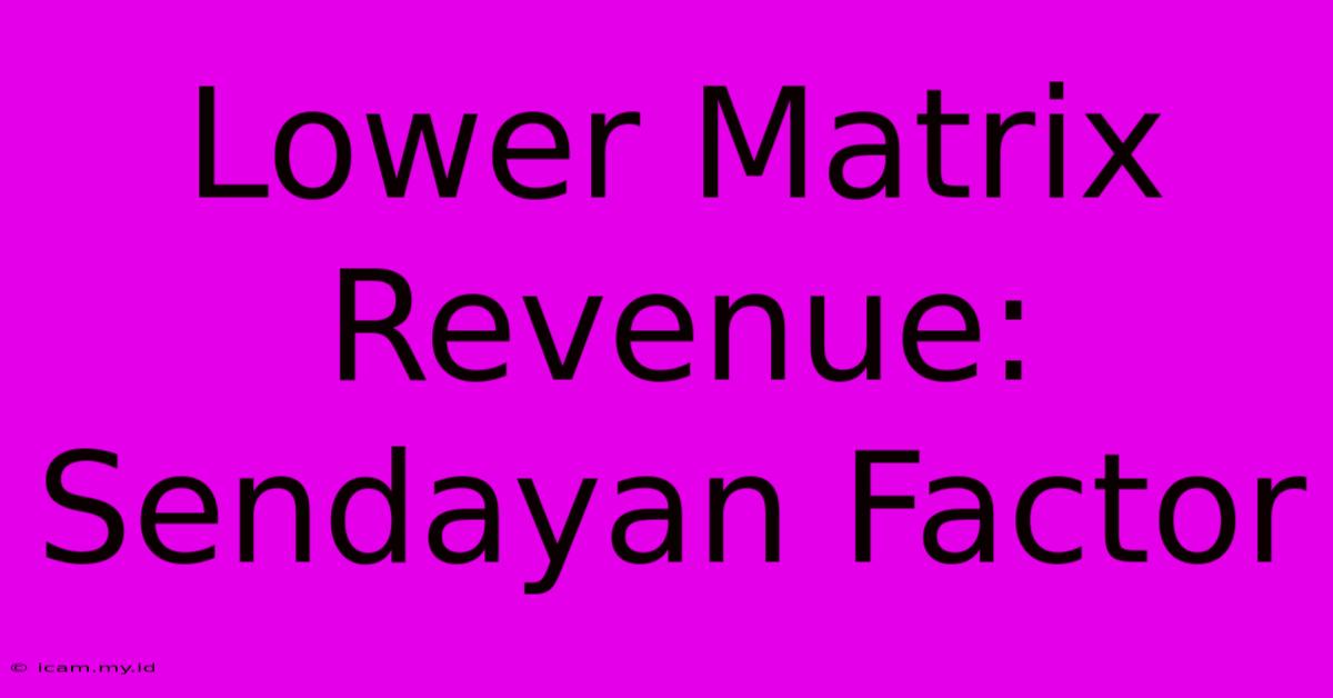 Lower Matrix Revenue: Sendayan Factor