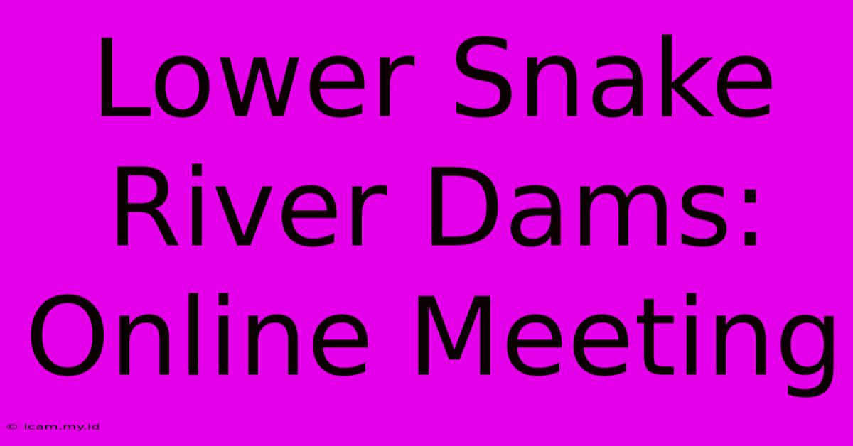 Lower Snake River Dams: Online Meeting