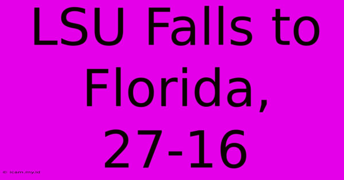 LSU Falls To Florida, 27-16