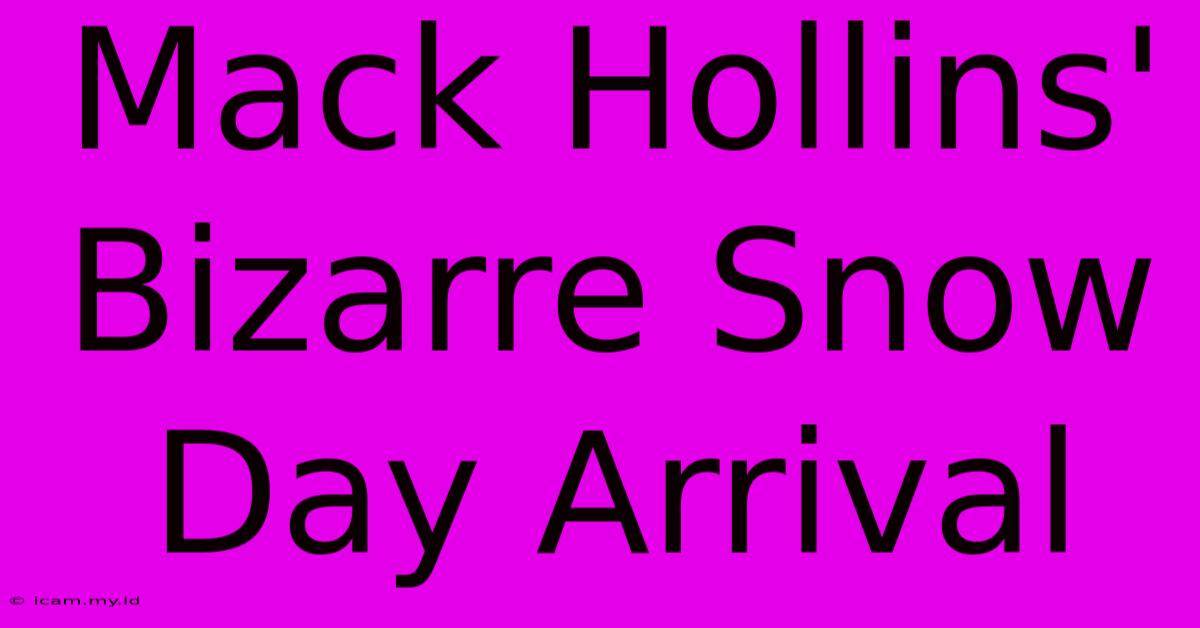 Mack Hollins' Bizarre Snow Day Arrival