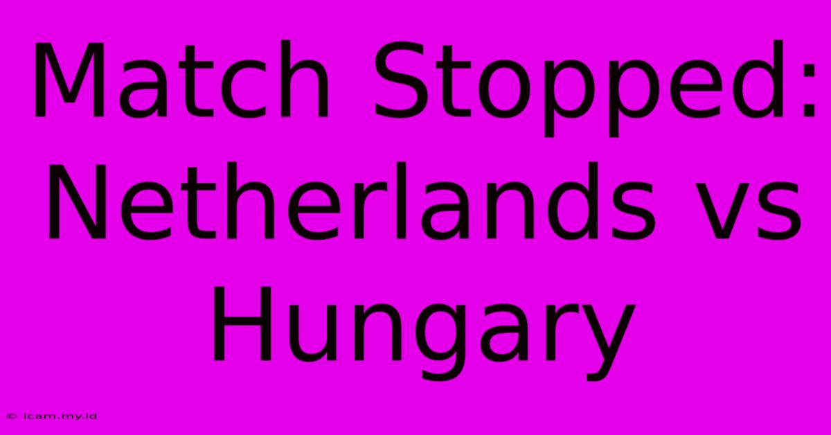 Match Stopped: Netherlands Vs Hungary