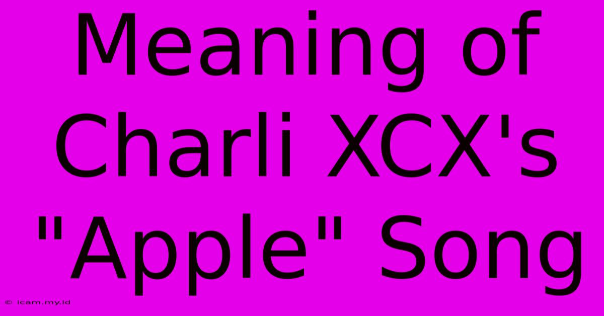 Meaning Of Charli XCX's 