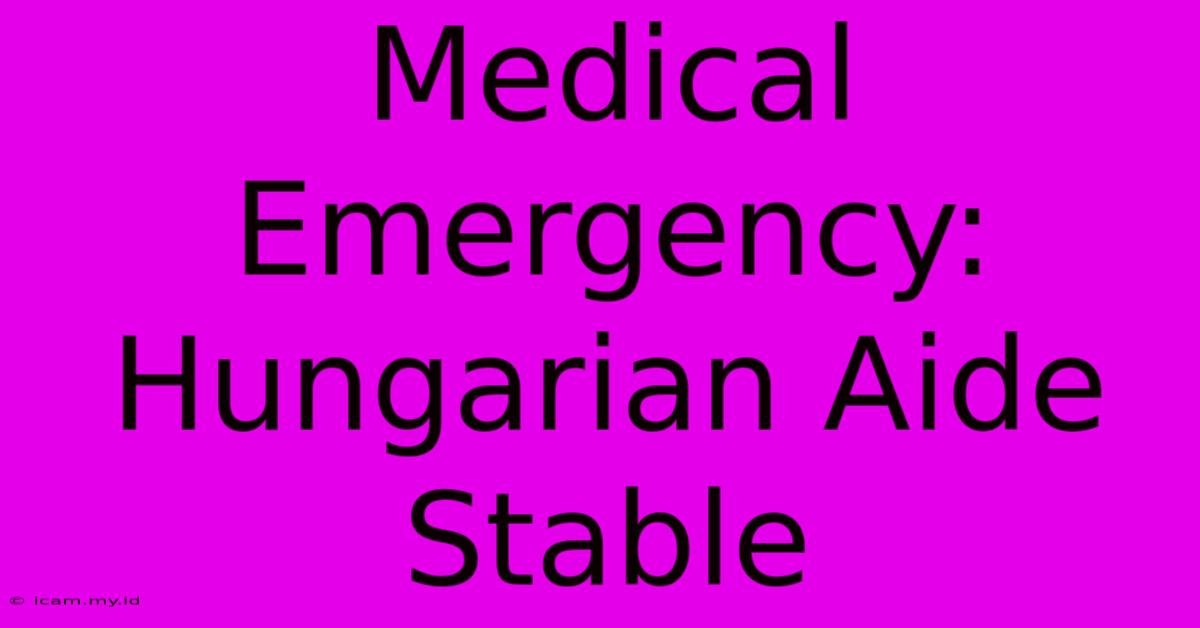 Medical Emergency: Hungarian Aide Stable