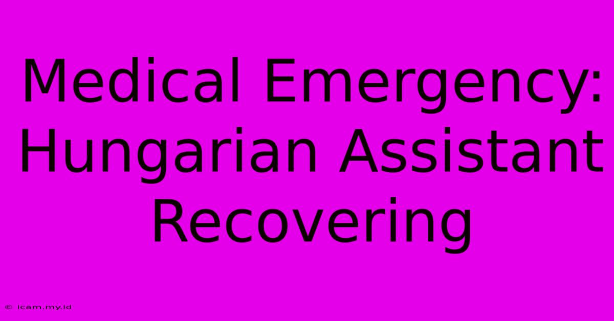 Medical Emergency: Hungarian Assistant Recovering