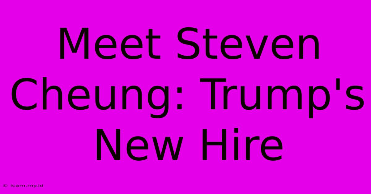 Meet Steven Cheung: Trump's New Hire