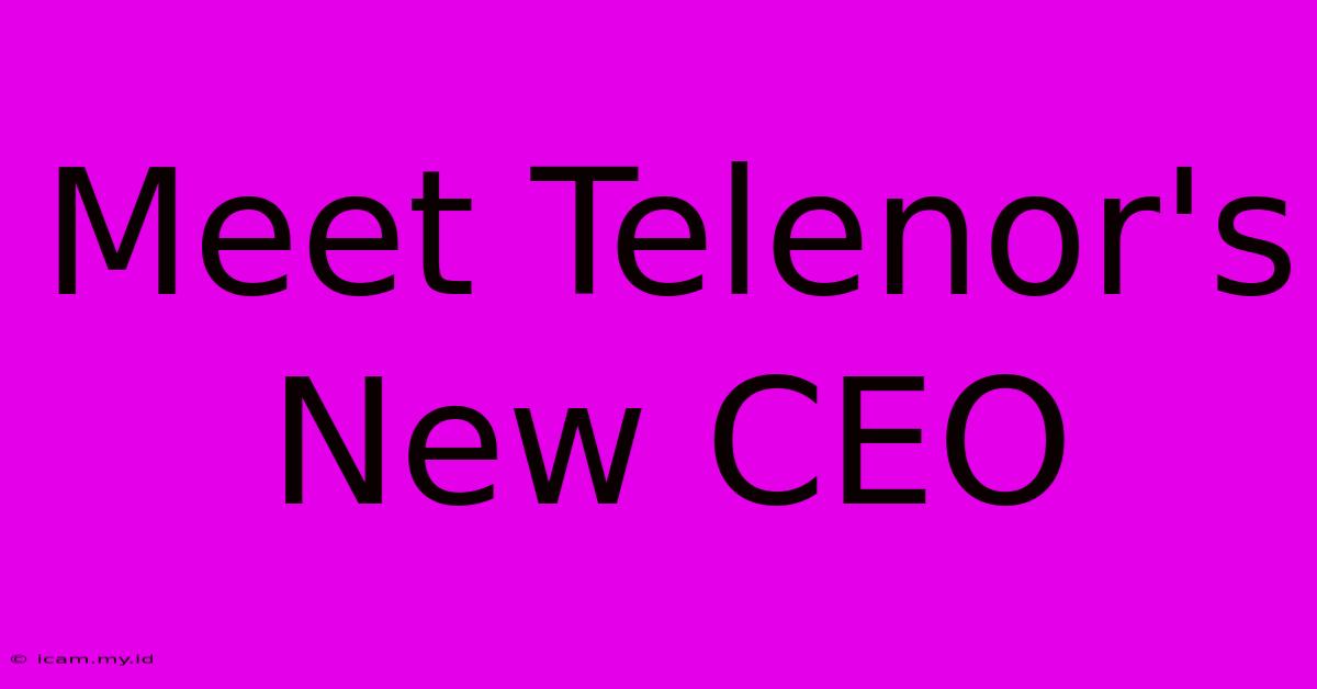 Meet Telenor's New CEO