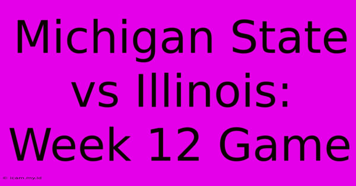 Michigan State Vs Illinois: Week 12 Game