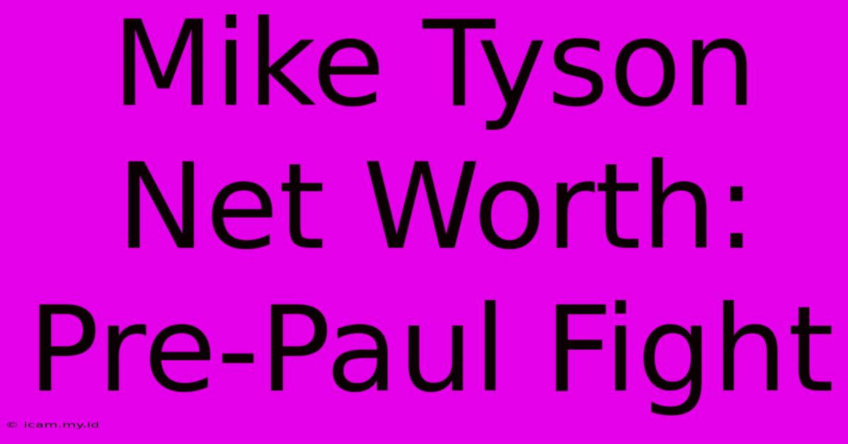 Mike Tyson Net Worth: Pre-Paul Fight