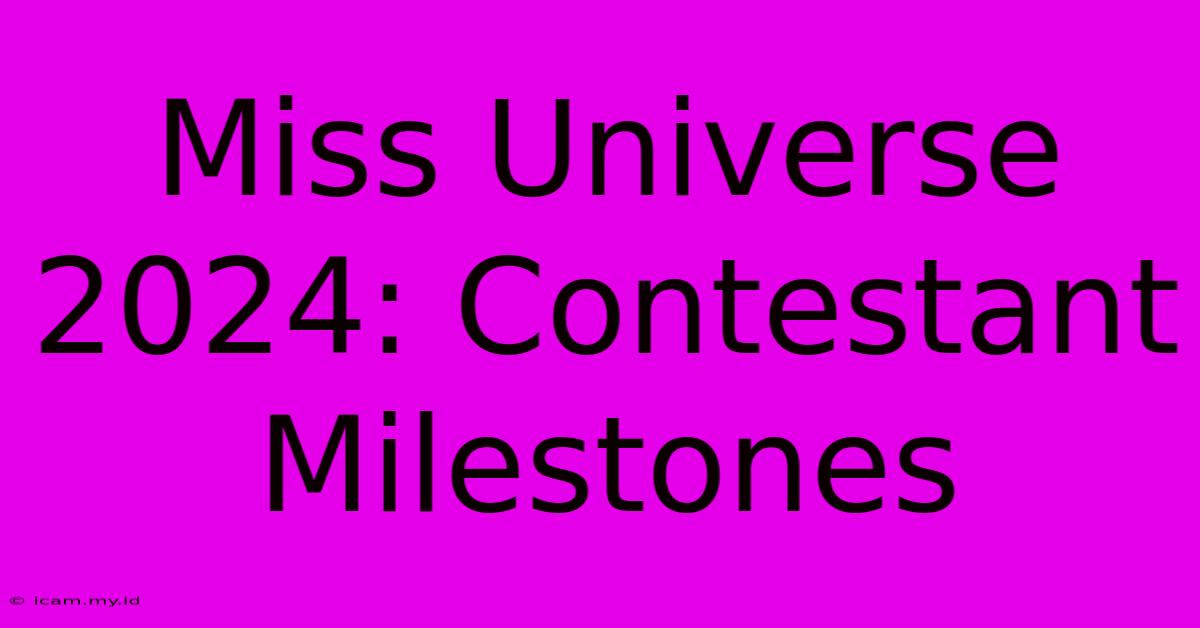 Miss Universe 2024: Contestant Milestones