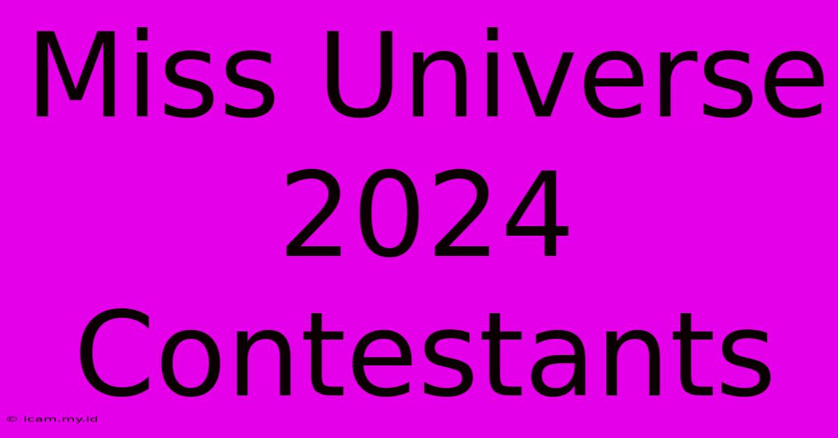 Miss Universe 2024 Contestants