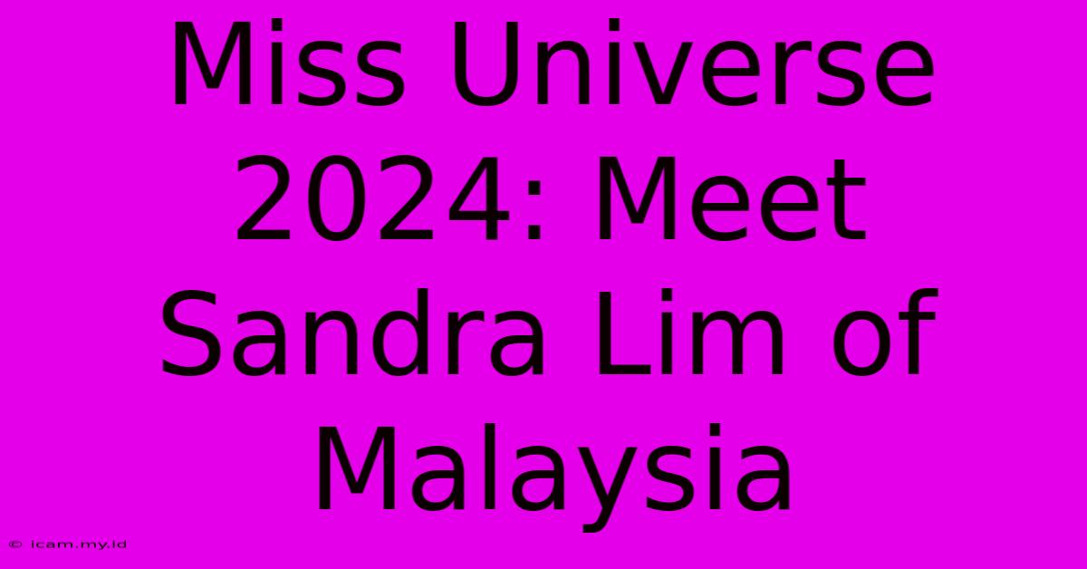 Miss Universe 2024: Meet Sandra Lim Of Malaysia