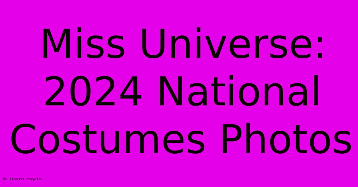 Miss Universe: 2024 National Costumes Photos