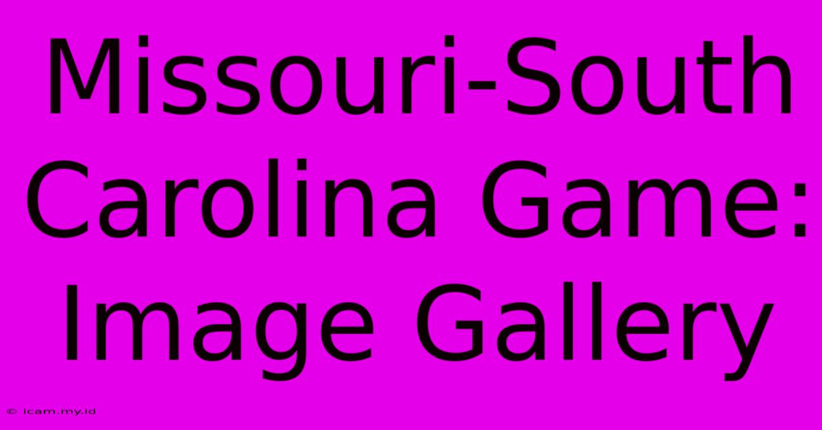 Missouri-South Carolina Game: Image Gallery