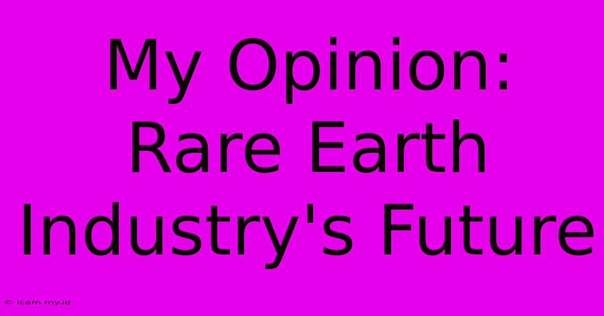 My Opinion: Rare Earth Industry's Future