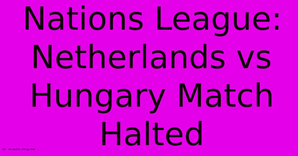 Nations League: Netherlands Vs Hungary Match Halted