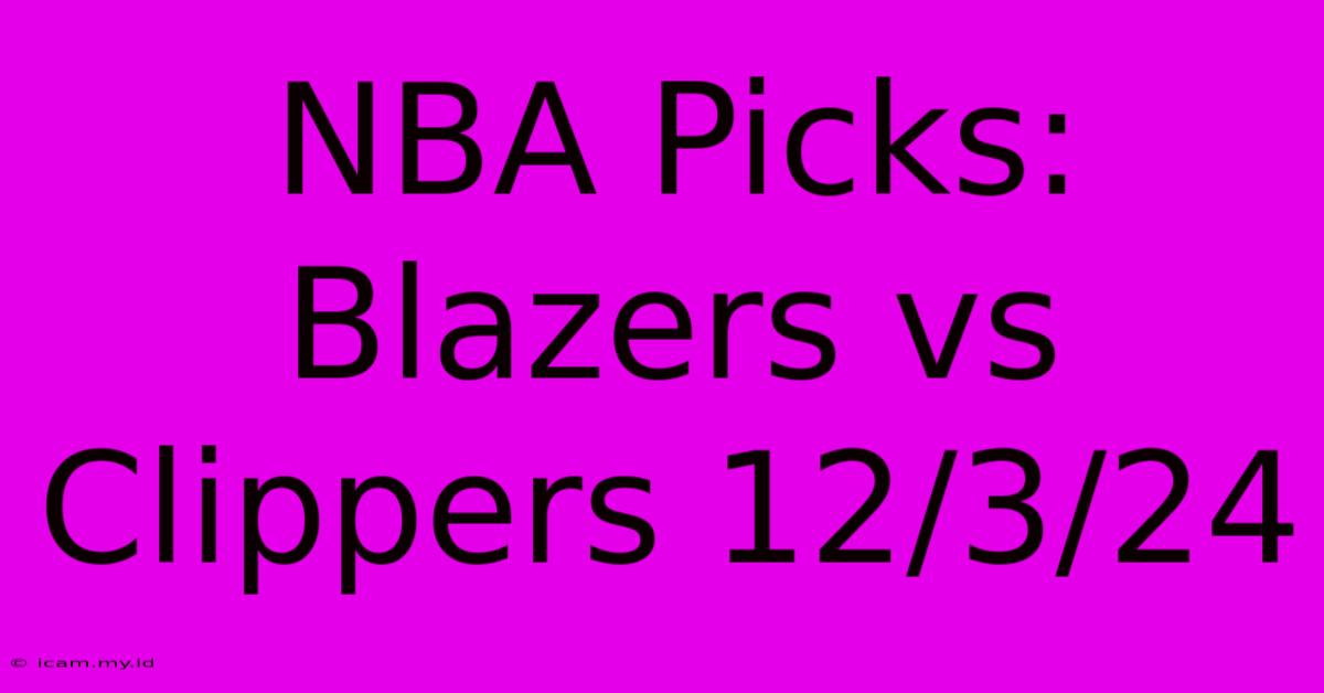 NBA Picks: Blazers Vs Clippers 12/3/24