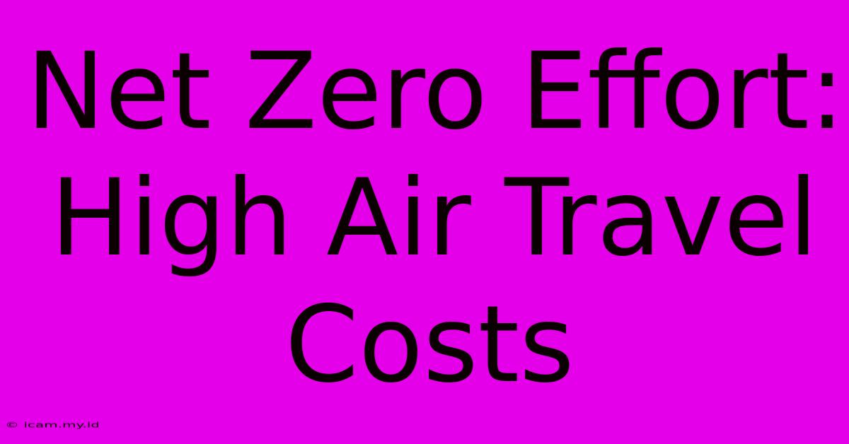 Net Zero Effort:  High Air Travel Costs