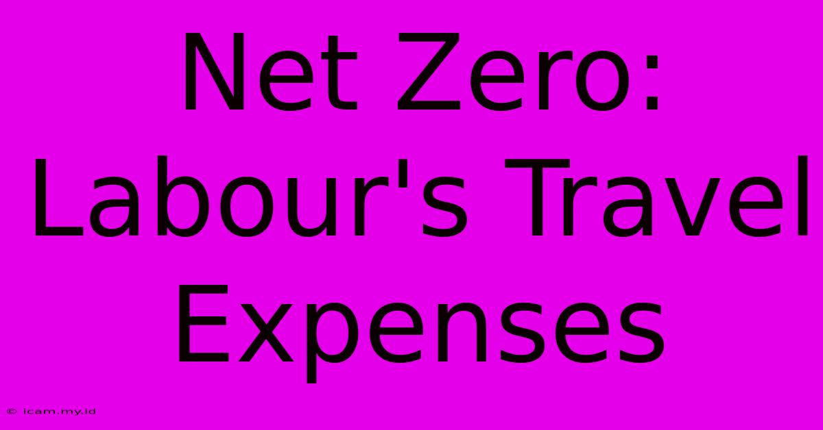 Net Zero: Labour's Travel Expenses