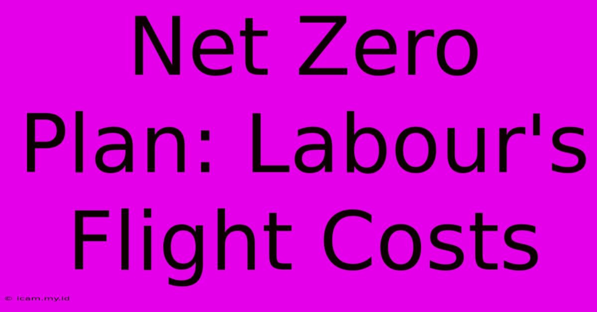 Net Zero Plan: Labour's Flight Costs